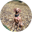 Anna Ongley profile picture
